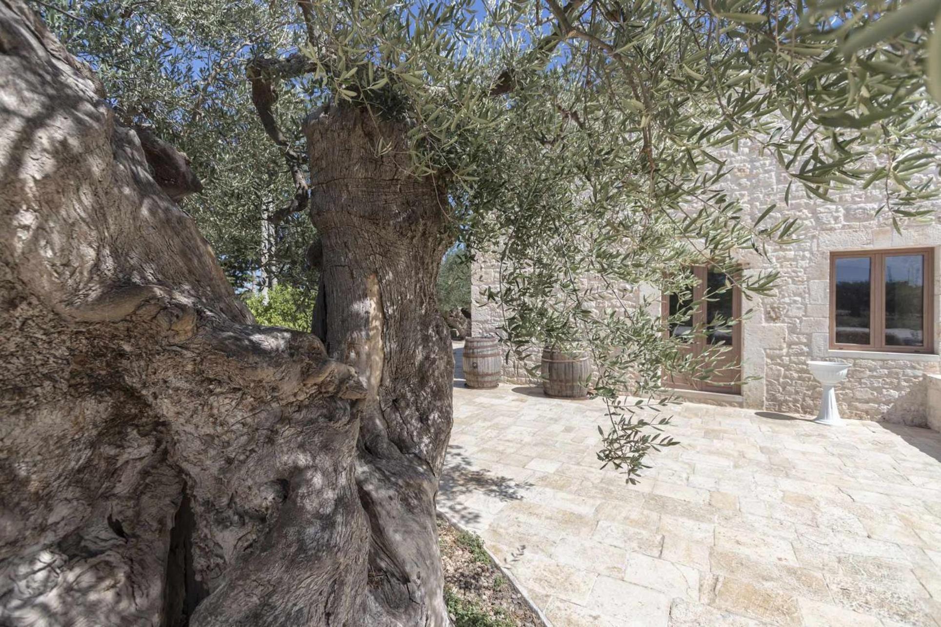 קונברסאנו Masseria Fanizzi חדר תמונה